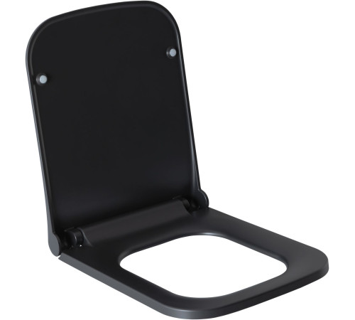 Крышка-сиденье для унитаза Allen Brau Infinity 4.21014.31 черный матовый