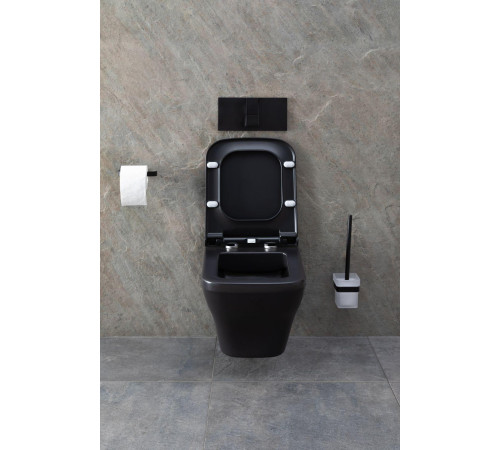 Чаша подвесного унитаза Allen Brau Infinity 4.21011.31 черный матовый