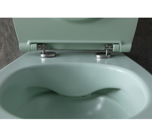 Чаша подвесного унитаза Allen Brau Fantasy 4.11004.MT мятный