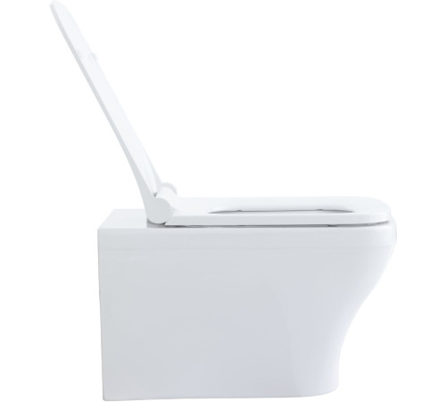 Чаша подвесного унитаза Allen Brau Infinity 4.21011.20 белый глянец