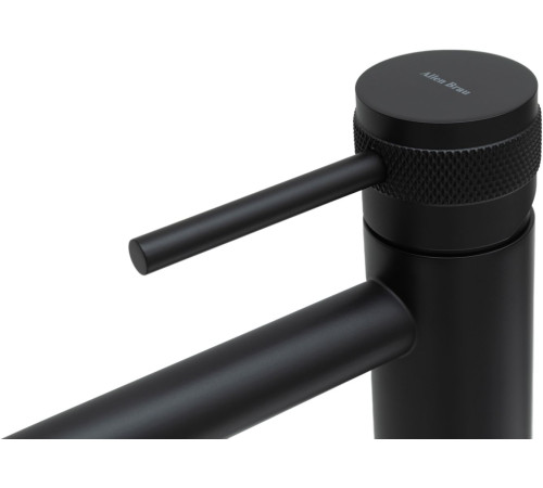 Смеситель для раковины Allen Brau Priority 5.31A02-31 черный матовый
