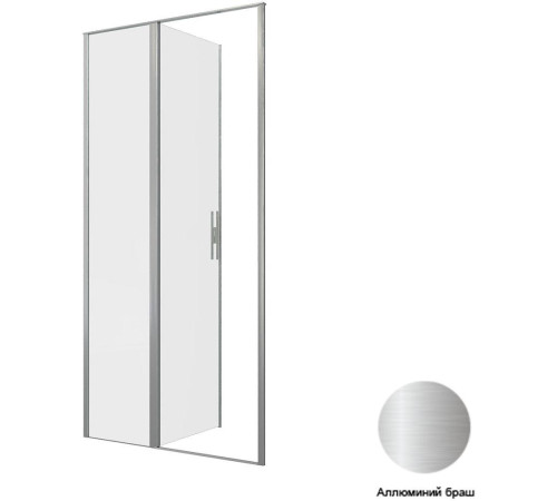 Душевая дверь Allen Brau Priority 100 3.31029.BA серебро браш