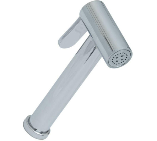 Гигиеническая лейка Allen Brau Priority 5.31028-00 хром