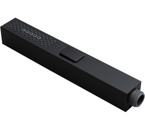 Душевая лейка Allen Brau Infinity 5.21A22-31 черный матовый