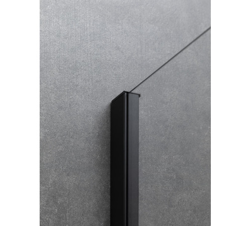 Душевая дверь Allen Brau Priority 120 3.31009.BBA черный браш