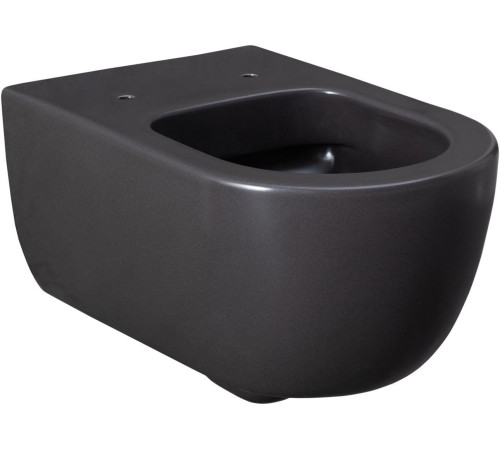 Чаша подвесного унитаза Allen Brau Priority 4.31001.AN антрацит