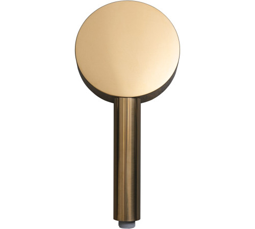 Душевая лейка Allen Brau Priority 5.31B20-GB золото