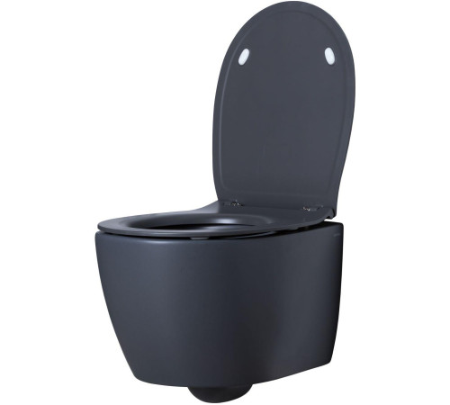 Чаша подвесного унитаза Allen Brau Fantasy 4.11004.AN антрацит