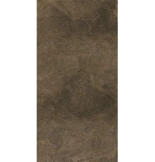Керамогранит Про Стоун DD503920R Коричневый матовый 60х119.5