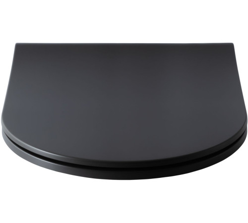 Крышка-сиденье для унитаза Allen Brau Priority 4.31004.AN антрацит
