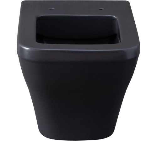 Чаша подвесного унитаза Allen Brau Infinity 4.21011.AN антрацит