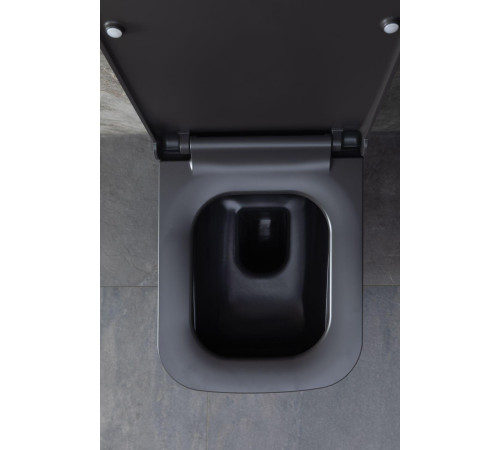 Чаша подвесного унитаза Allen Brau Infinity 4.21011.AN антрацит