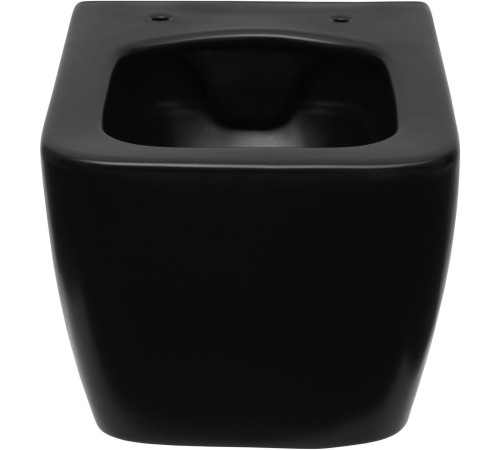 Чаша подвесного унитаза Allen Brau Liberty 4.33007.31 черный матовый