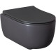Чаша подвесного унитаза Allen Brau Priority 4.31002.AN антрацит
