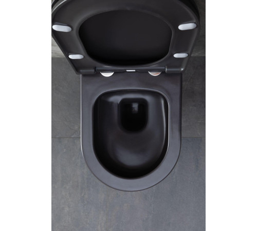 Чаша подвесного унитаза Allen Brau Priority 4.31001.AN антрацит