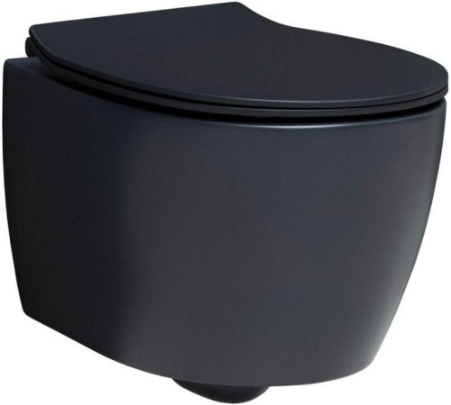 Чаша подвесного унитаза Allen Brau Fantasy 4.11004.31 черный матовый