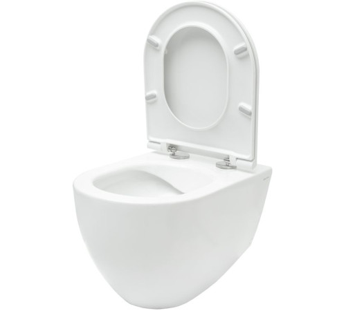 Чаша подвесного унитаза Allen Brau Reality 4.32006.20 белый глянец