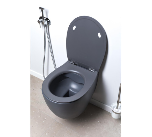 Крышка-сиденье для унитаза Allen Brau Fantasy Smartfix, Soft-Close 4.11005.AN антрацит