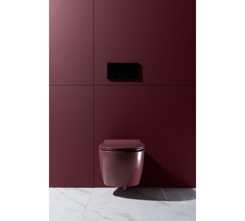 Чаша подвесного унитаза Allen Brau Fantasy 4.11004.BD бордо