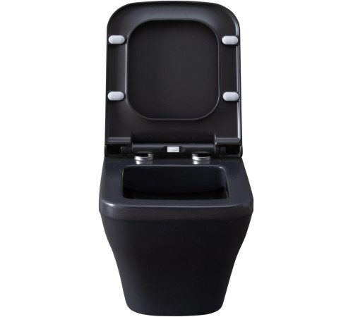 Чаша подвесного унитаза Allen Brau Infinity 4.21011.AN антрацит