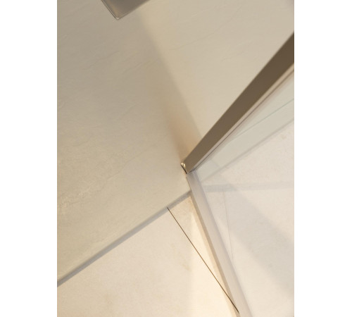 Душевая дверь Allen Brau Priority 120 3.31032.BA серебро браш