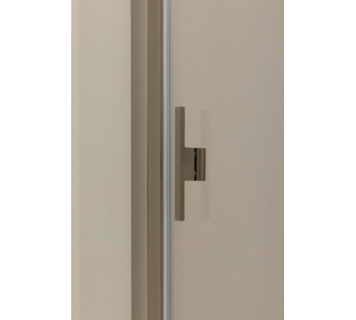 Душевая дверь Allen Brau Priority 100 3.31005.BA серебро браш