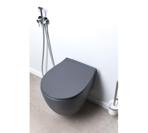 Крышка-сиденье для унитаза Allen Brau Fantasy Smartfix, Soft-Close 4.11005.AN антрацит