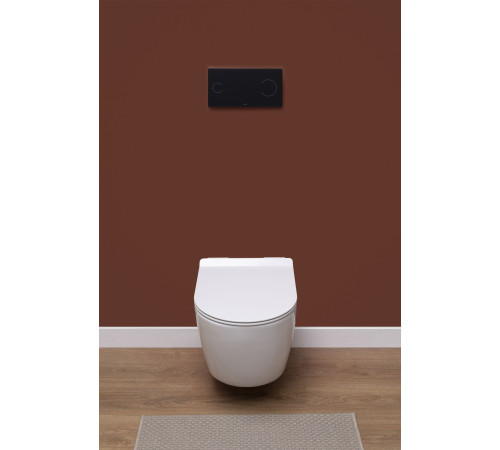 Унитаз подвесной Aquanet Rimless Cetus-W BL-102N-WHT