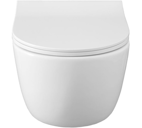 Чаша подвесного унитаза Allen Brau Priority 4.31001.20 белый глянец