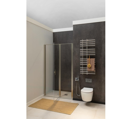 Душевая дверь Allen Brau Priority 160 3.31038.BA серебро браш