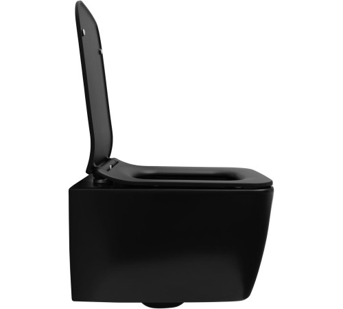 Чаша подвесного унитаза Allen Brau Liberty 4.33007.31 черный матовый