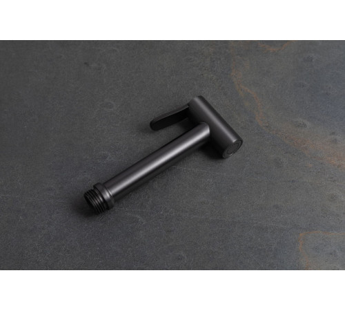 Гигиеническая лейка Allen Brau Priority 5.31028-MG графит браш