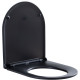 Сиденье для унитаза Aquanet Lake черный матовый