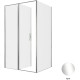 Душевой уголок Allen Brau Priority 120x80 3.31007.00 + 3.31013.00 хром