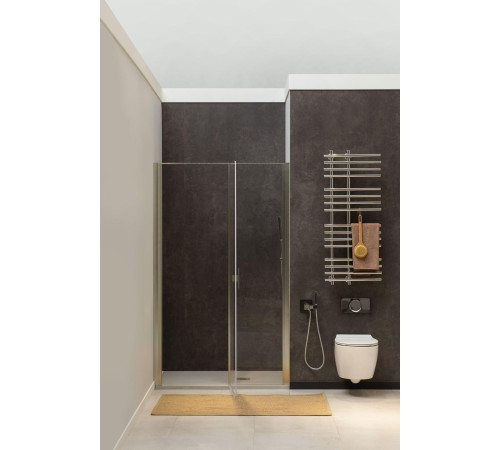 Душевая дверь Allen Brau Priority 120 3.31008.BA серебро браш