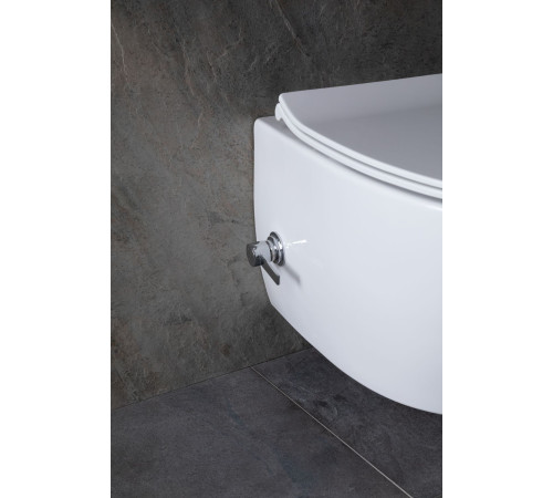 Чаша подвесного унитаза Allen Brau Fantasy 4.11HC1.20 белый глянец