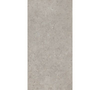 Керамогранит Риккарди SG519920R Светло-серый матовый 60х119.5