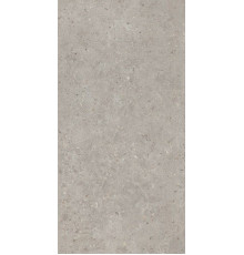 Керамогранит Риккарди SG519920R Светло-серый матовый 60х119.5