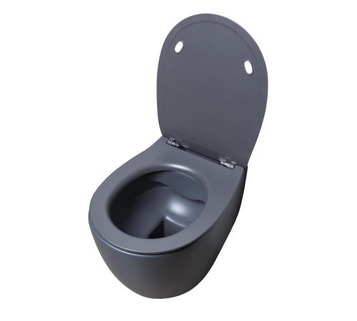 Крышка-сиденье для унитаза Allen Brau Fantasy Smartfix, Soft-Close 4.11005.AN антрацит