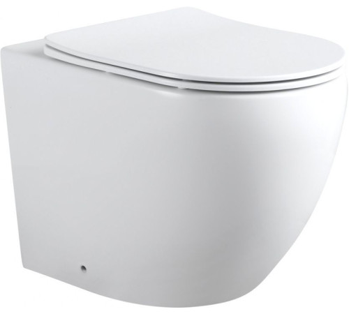 Унитаз приставной Aquanet Rimless Cetus 2.0 F LX-1902