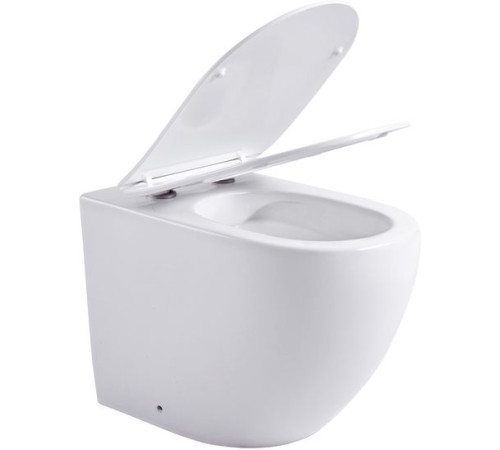 Унитаз приставной Aquanet Rimless Cetus 2.0 F LX-1902