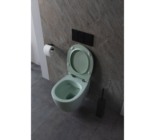 Чаша подвесного унитаза Allen Brau Fantasy 4.11004.MT мятный