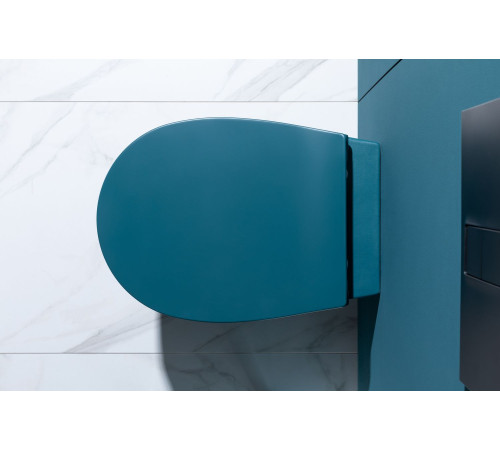 Чаша подвесного унитаза Allen Brau Fantasy 4.11004.PT петроль