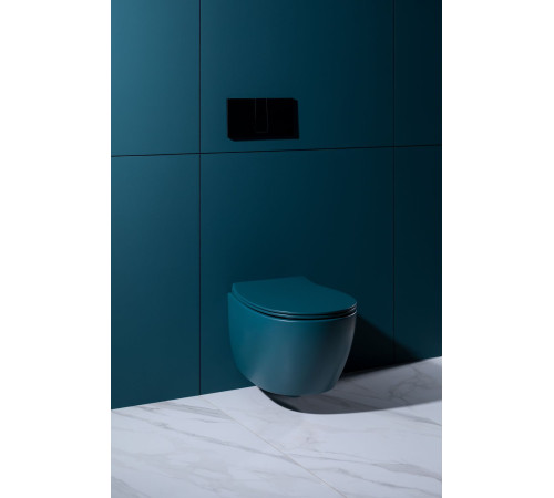 Крышка-сиденье для унитаза Allen Brau Fantasy Soft-Close 4.11005.PT петроль