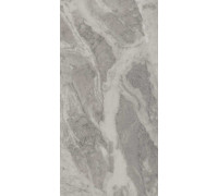 Керамогранит Альбино DL503120R Серый матовый 60х119.5