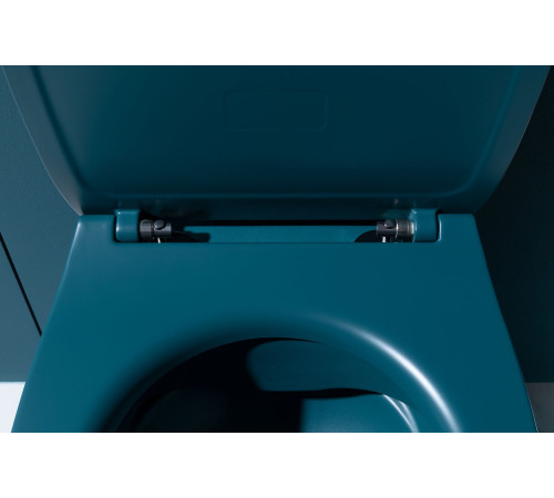 Крышка-сиденье для унитаза Allen Brau Fantasy Soft-Close 4.11005.PT петроль