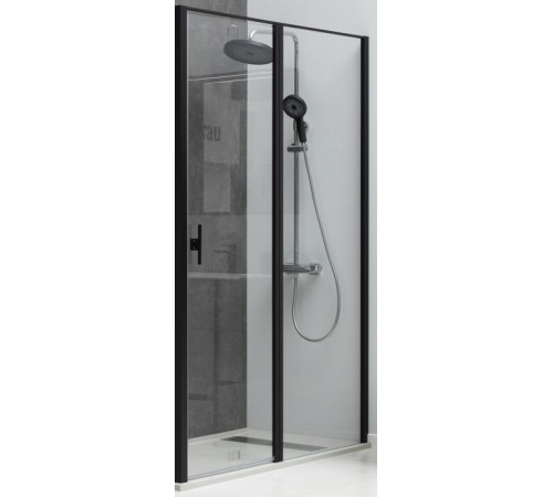 Душевая дверь Allen Brau Priority 120 3.31033.BBA черный браш