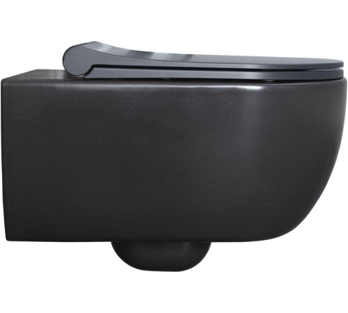 Чаша подвесного унитаза Allen Brau Priority 4.31001.AN антрацит