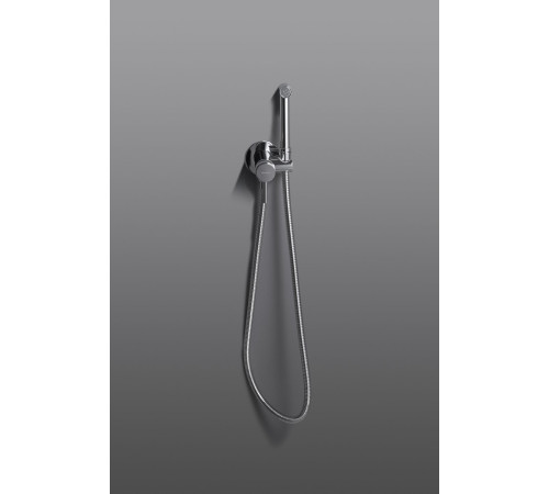 Смеситель с гигиеническим душем Allen Brau Priority 5.31A29-00 (с внутренней частью) хром