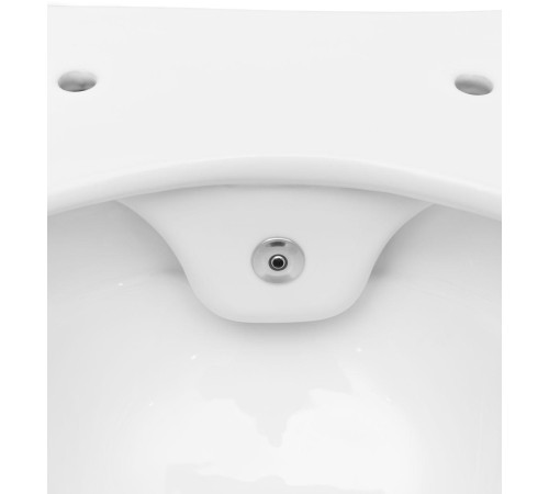 Чаша подвесного унитаза Allen Brau Liberty 4.33009.20 белый